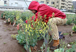 木所ファームで出会った“口数の多い” 食材たち