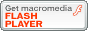 MacromediaЂFlash Player̃vOC