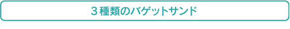３種類のバゲットサンド